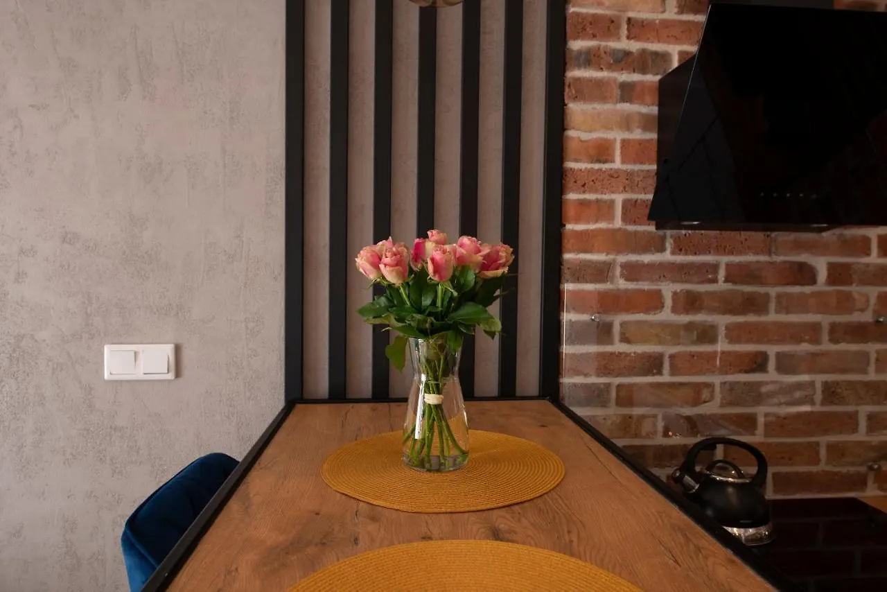 Apartament Rakowicka Apartment Krakow 0*,  Poland